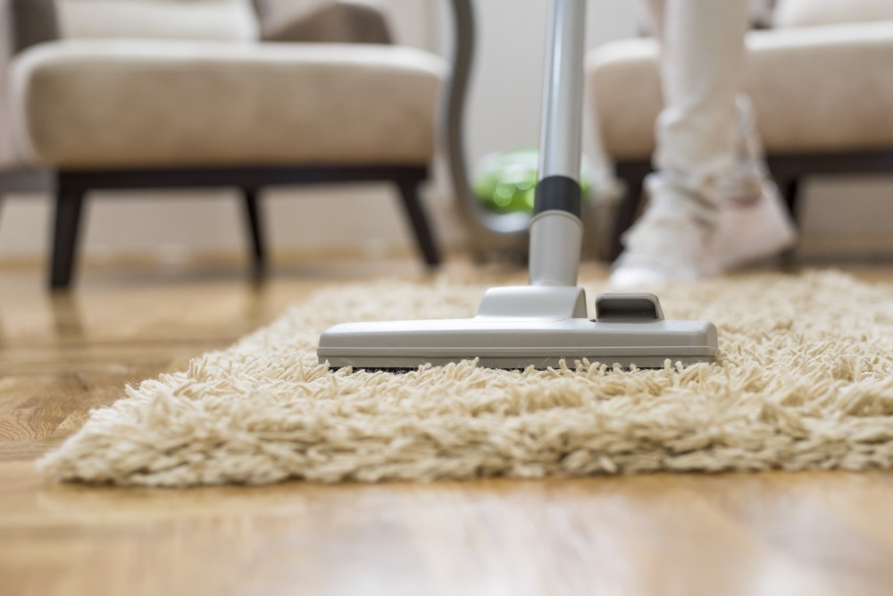 Prestation de ménage à domicile à Lyon par l'entreprise Steev Clean